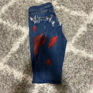 Embroidered Zara Jeans